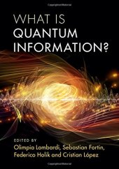 book What is Quantum Information?