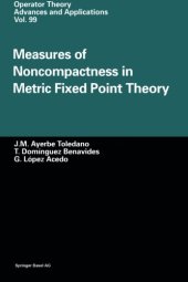 book Measures of Noncompactness in Metric Fixed Point Theory