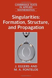 book Singularities: Formation, Structure, and Propagation