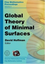 book Global Theory Of Minimal Surfaces