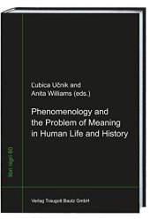 book Phenomenology and the Problem of Meaning in Human Life and History