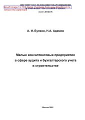 book Малые консалтинговые предприятия в сфере аудита и бухгалтерского учета в строительстве. Монография