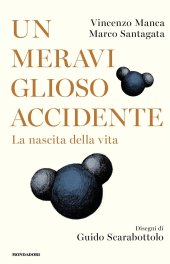 book Un meraviglioso accidente. La nascita della vita