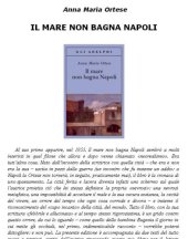 book Il mare non bagna Napoli