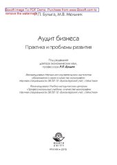 book Аудит бизнеса. Практика и проблемы развития. Монография