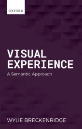 book Visual Experience: A Semantic Approach