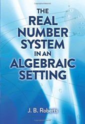 book The Real Number System in an Algebraic Setting