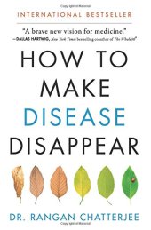 book How to Make Disease Disappear