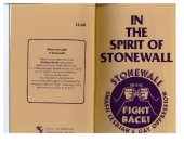 book In the Spirit of Stonewall