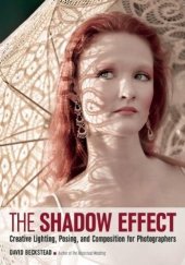 book The Shadow Effect: Creative Lighting, Posing, and Composition for Photographers