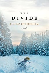 book The Divide