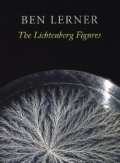 book The Lichtenberg Figures