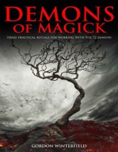 book Demons of Magick : Three Practical Rituals For Working With The 72 Demons