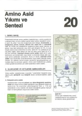 book Lippincott’s İllustrated Reviews Biyokimya