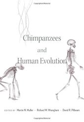 book Chimpanzees and Human Evolution