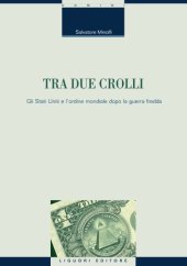 book Tra due crolli - gli Stati Uniti e l’ordine mondiale dopo la guerra fredda