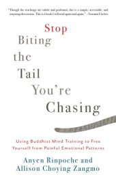 book Stop biting the tail you’re chasing : using Buddhist mind training to free yourself from painful emotional patterns