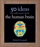 book 50 Human Brain Ideas You Really Need to Know