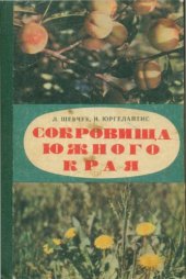 book Сокровища южного края