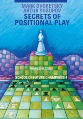 book Positional Play