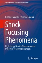 book Shock Focusing Phenomena