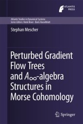 book Perturbed Gradient Flow Trees and A∞-algebra Structures in Morse Cohomology