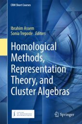 book Homological Methods, Representation Theory, and Cluster Algebras