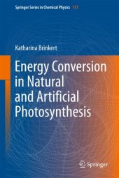 book Energy Conversion in Natural and Artificial Photosynthesis