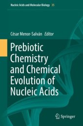 book Prebiotic Chemistry and Chemical Evolution of Nucleic Acids