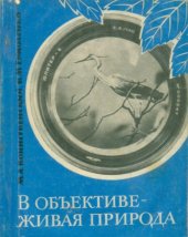 book В объективе - живая природа