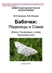 book Бабочки. Пяденицы и Совки (тип Членистоногие, класс Насекомые). Серия «Животные Казахстана в фотографиях»