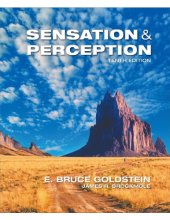 book Sensation and Perception