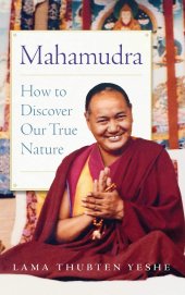 book Mahamudra: How to Discover Our True Nature