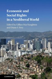 book Economic and Social Rights in a Neoliberal World