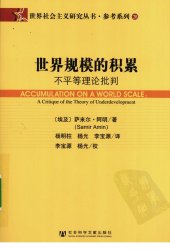 book 世界规模的积累：不平等理论批判