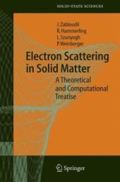 book Electron Scattering in Solid Matter: A Theoretical and Computational Treatise (Springer Series in Solid-State Sciences)