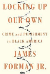 book Locking Up Our Own: Crime and Punishment in Black America