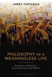 book Philosophy in a Meaningless Life: A System of Nihilism, Consciousness and Reality