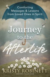 book Journey to the Afterlife: Comforting Messages & Lessons from Loved Ones in Spirit