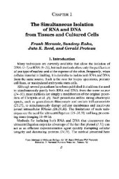 book Basic DNA and Rna Protocols