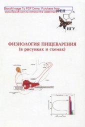 book физиология пищеварения