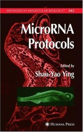 book MicroRNA Protocols