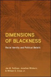 book Dimensions of Blackness: Racial Identity and Political Beliefs