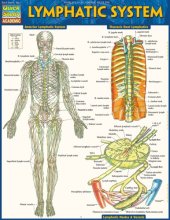 book Lymphatic System