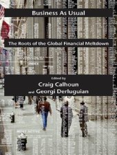 book Business as Usual: The Roots of the Global Financial Meltdown