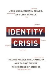 book Identity Crisis: The 2016 Presidential Campaign and the Battle for the Meaning of America