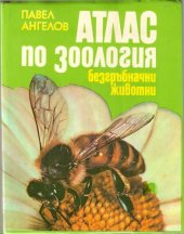 book Атлас по зоология. Безгръбначни животни