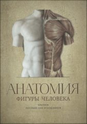 book Анатомия фигуры человека: Краткое пособие для художников