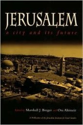 book Jerusalem: A City and Its Future