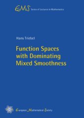 book Function Spaces with Dominating Mixed Smoothness